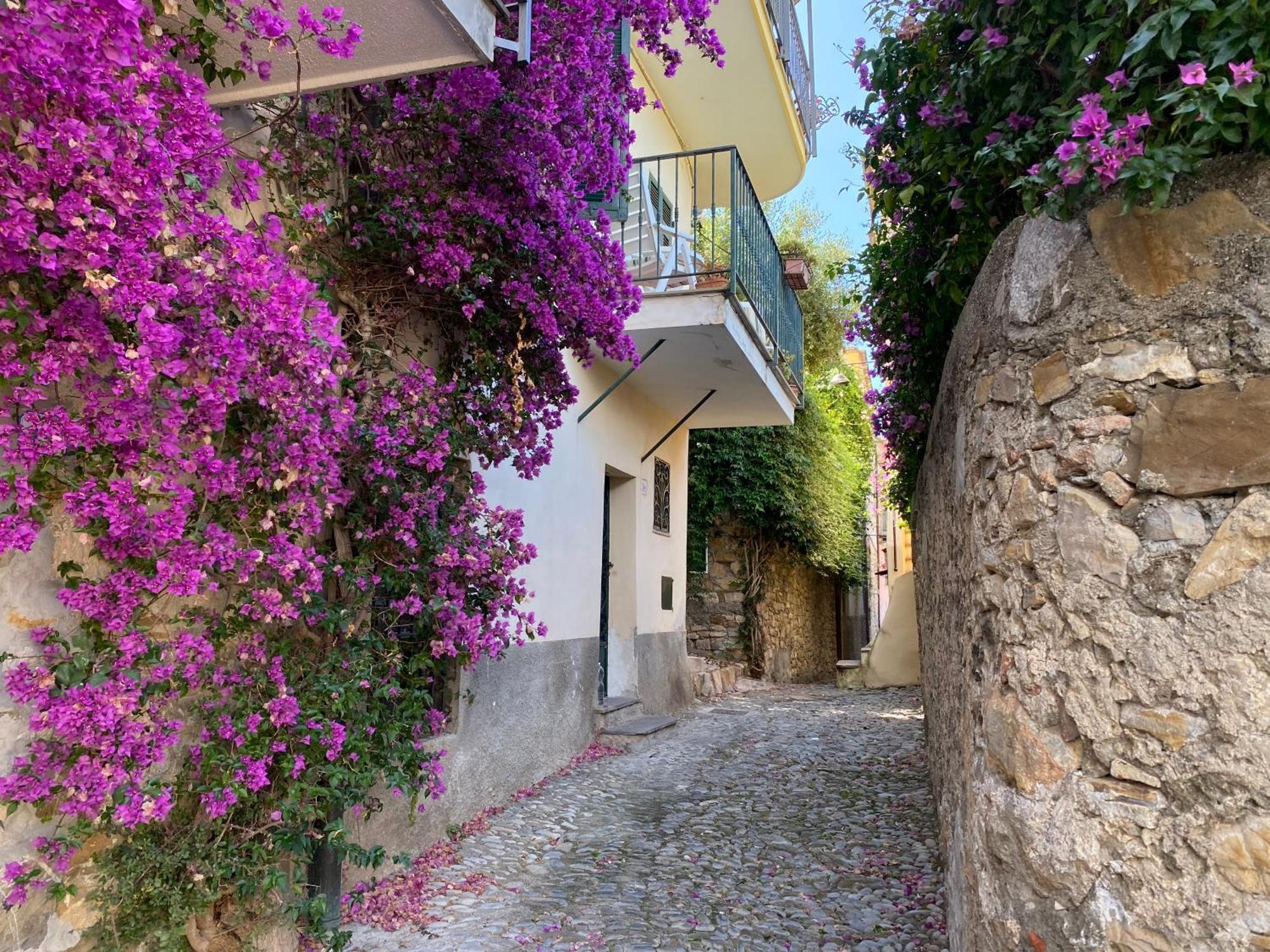 La Finestra Sul Borgo Panzió Cervo Kültér fotó